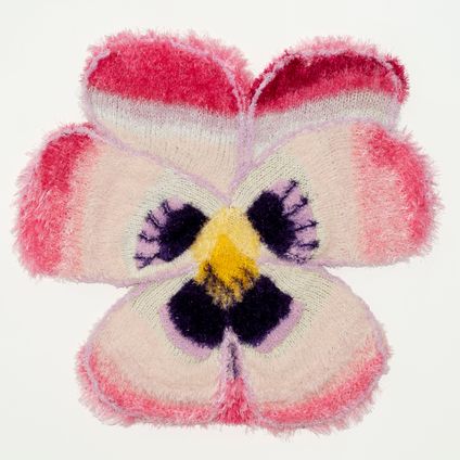 Pansy Flower Pink with a Yellow Sun